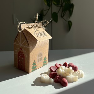 Wax Melts de Christmas Hug
