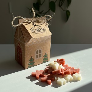 Wax Melts de Dulces de Navidad - AGOTADO
