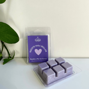Wax Melts Edición Especial – Naciste para Brillar